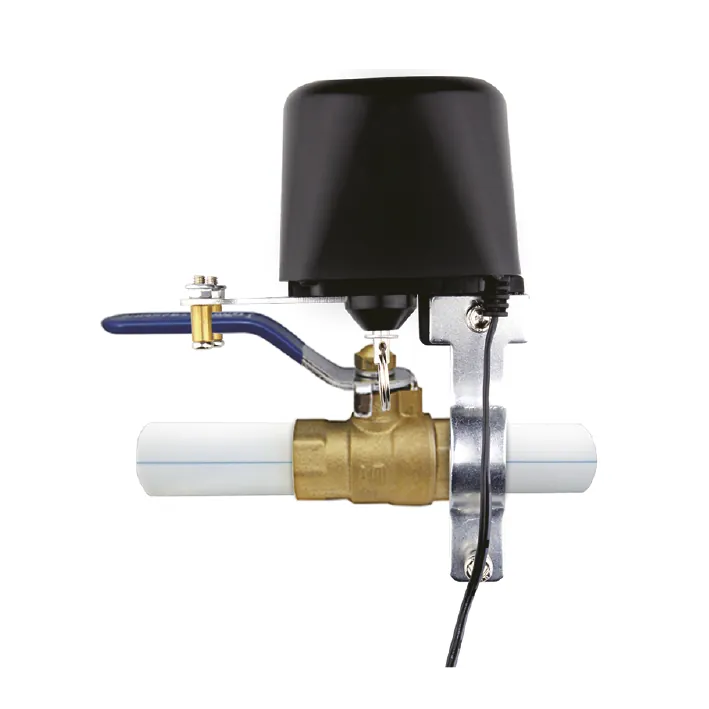WVALVE